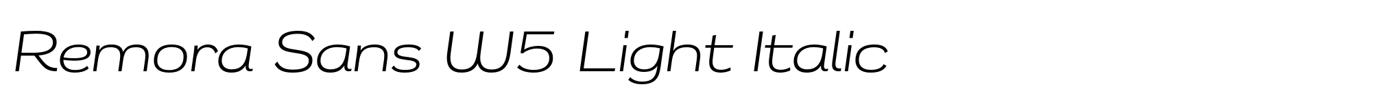 Remora Sans W5 Light Italic image